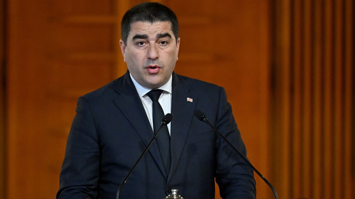 Vládnoucí strana v Gruzii požádá soud o zákaz tří hlavních opozičních uskupení
